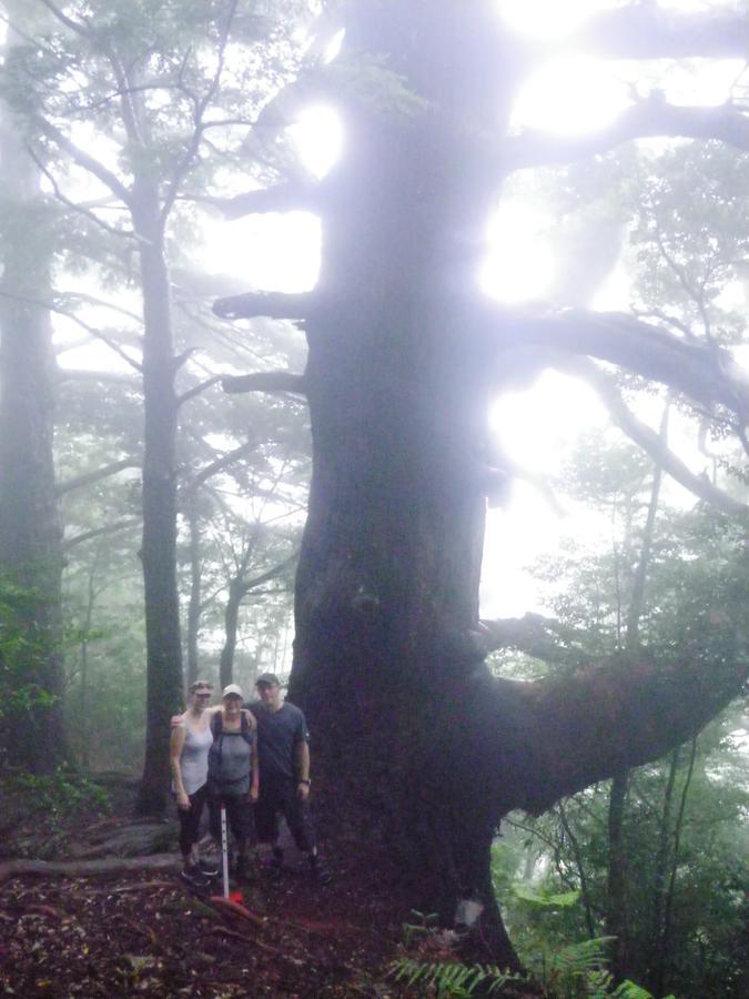Хостел Kumano Backpackers Танабе Экстерьер фото